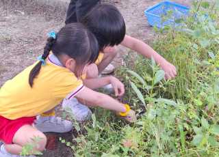 K3 visits Life Garden (2024-2025)